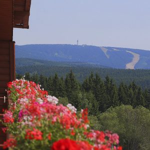 Ubytování v Krušných horách, jaro