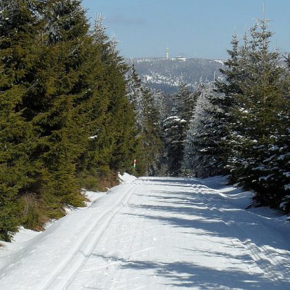 Krušné hory, běžky